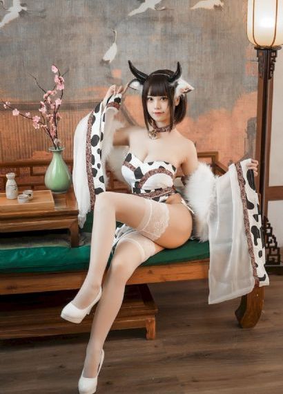 三朵花电视剧免费观看