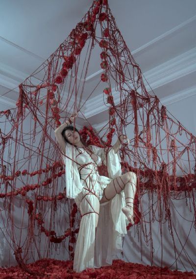 免费观看樱花影视大全完美世界